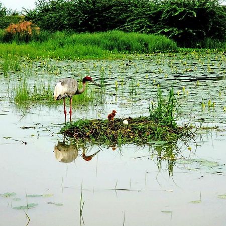 Ibishouse Farm Stay بهاراتبور المظهر الخارجي الصورة