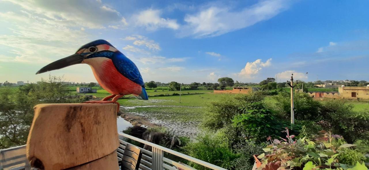 Ibishouse Farm Stay بهاراتبور المظهر الخارجي الصورة