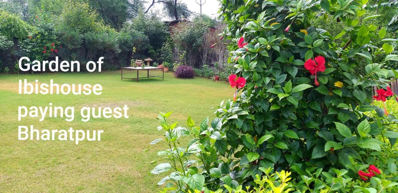 Ibishouse Farm Stay بهاراتبور المظهر الخارجي الصورة