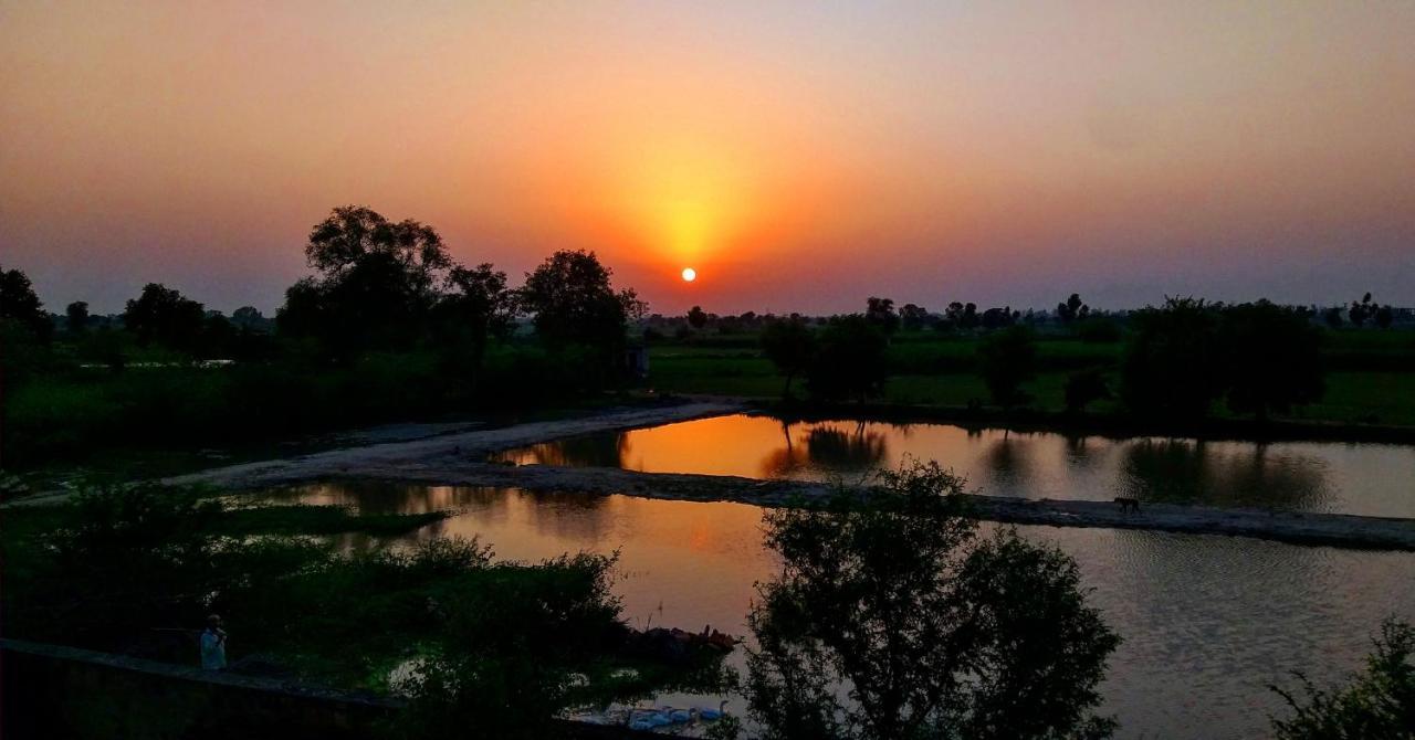 Ibishouse Farm Stay بهاراتبور المظهر الخارجي الصورة