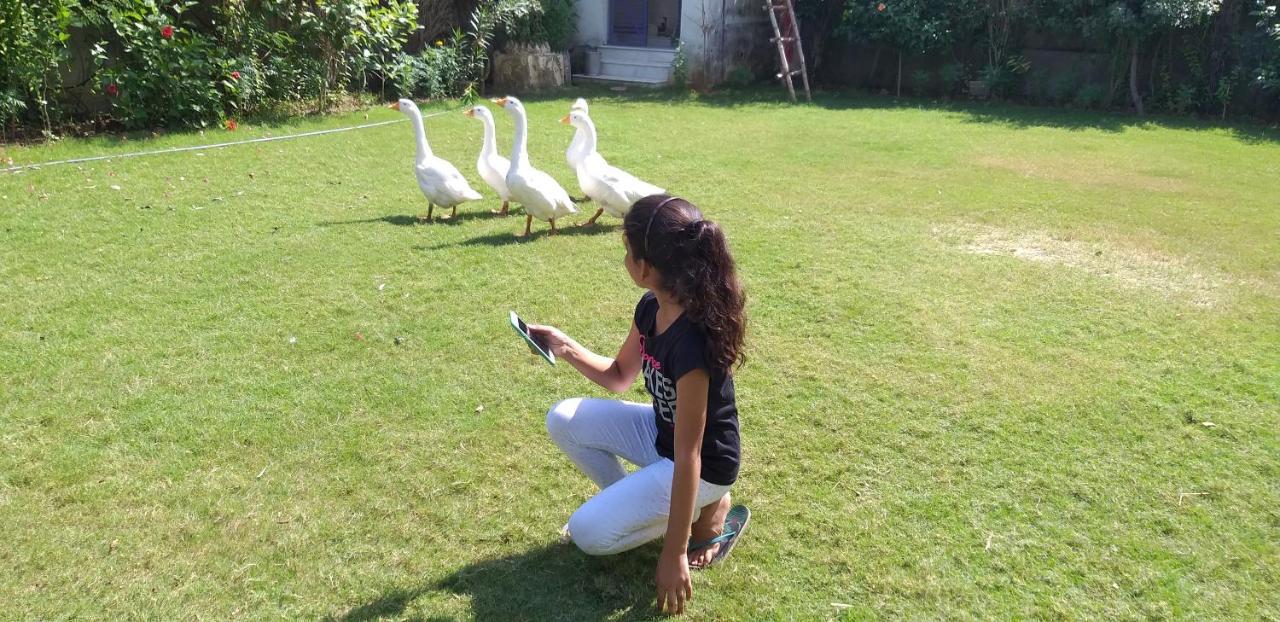 Ibishouse Farm Stay بهاراتبور المظهر الخارجي الصورة
